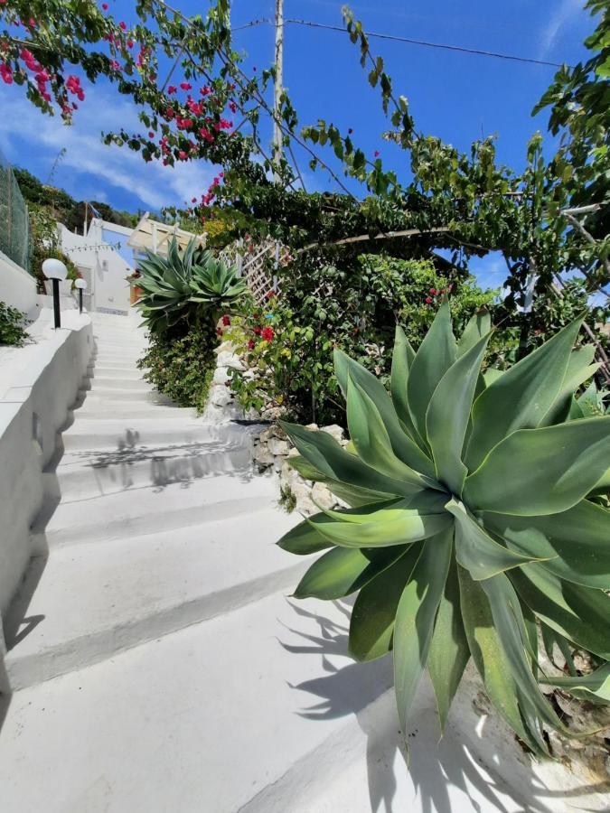 Casa Simonetta Ponza 빌라 외부 사진